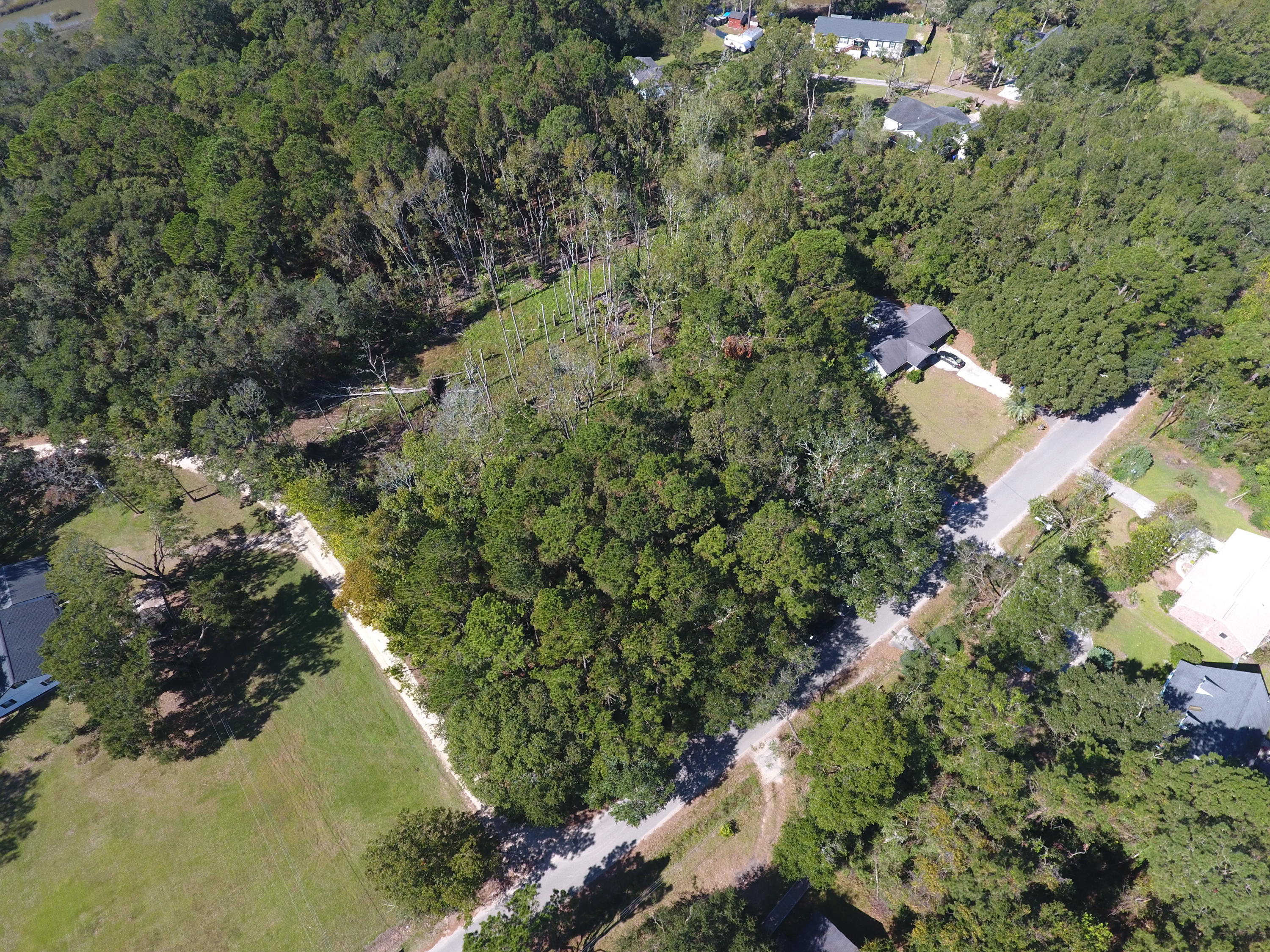 0 Riley Road Charleston, SC 29412 - Photo 8 of 27 DJI_0131