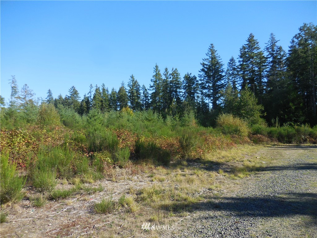4 Northeast Raspberry Ridge Lane Poulsbo, WA 98370 - Photo 2 of 22 Gallery Image 2