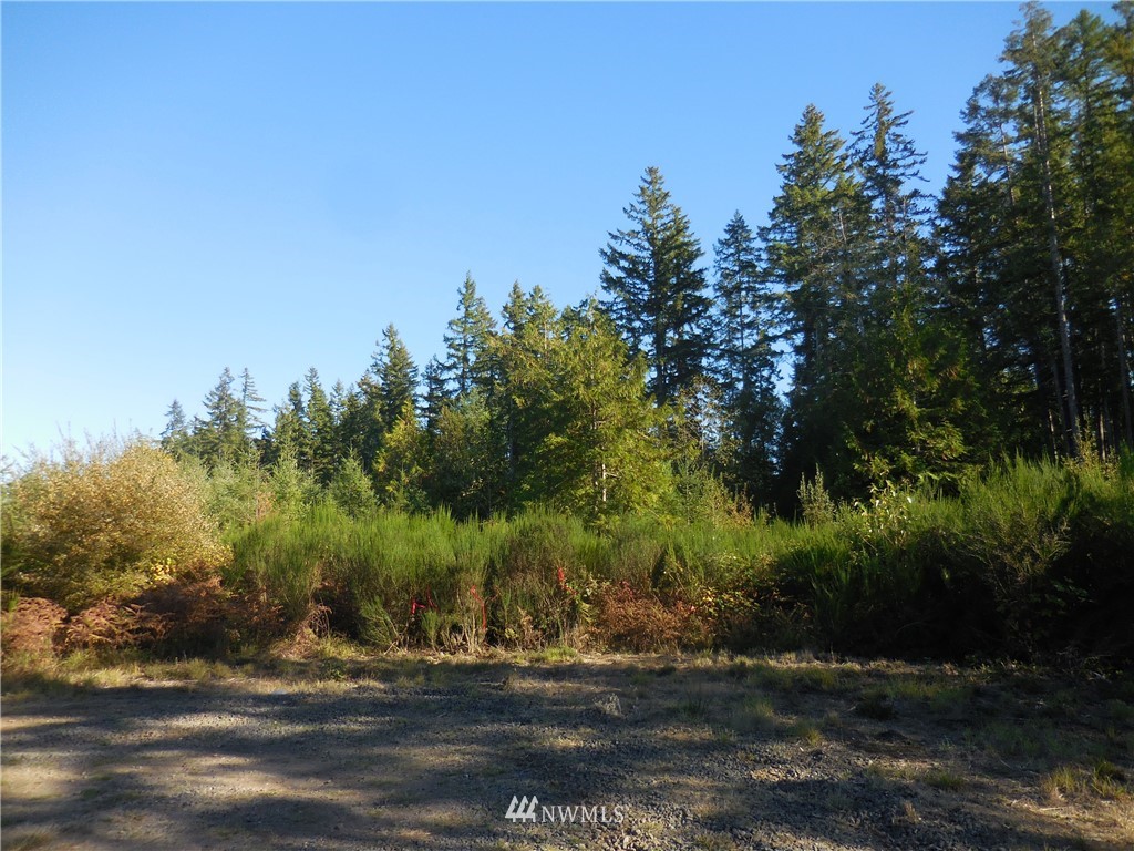 4 Northeast Raspberry Ridge Lane Poulsbo, WA 98370 - Photo 12 of 22 Gallery Image 12