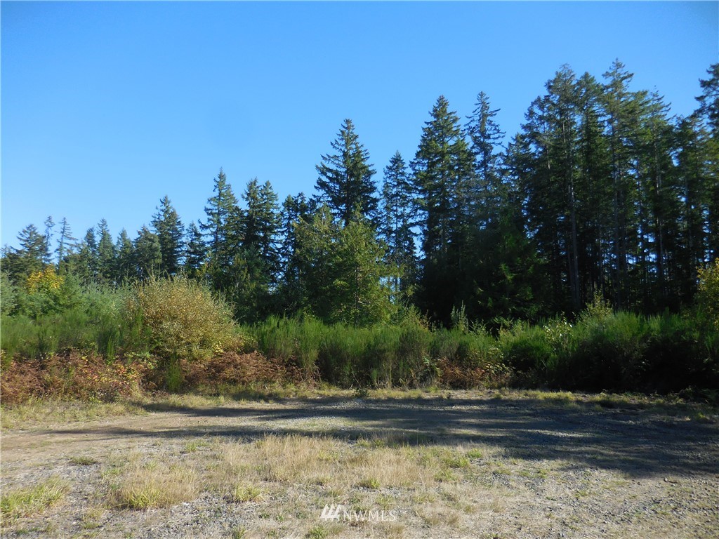 4 Northeast Raspberry Ridge Lane Poulsbo, WA 98370 - Photo 3 of 22 Gallery Image 3
