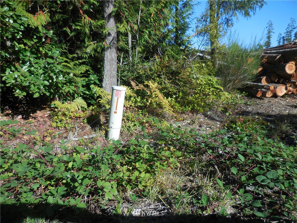 4 Northeast Raspberry Ridge Lane Poulsbo, WA 98370 - Photo 22 of 22 Gallery Image 22