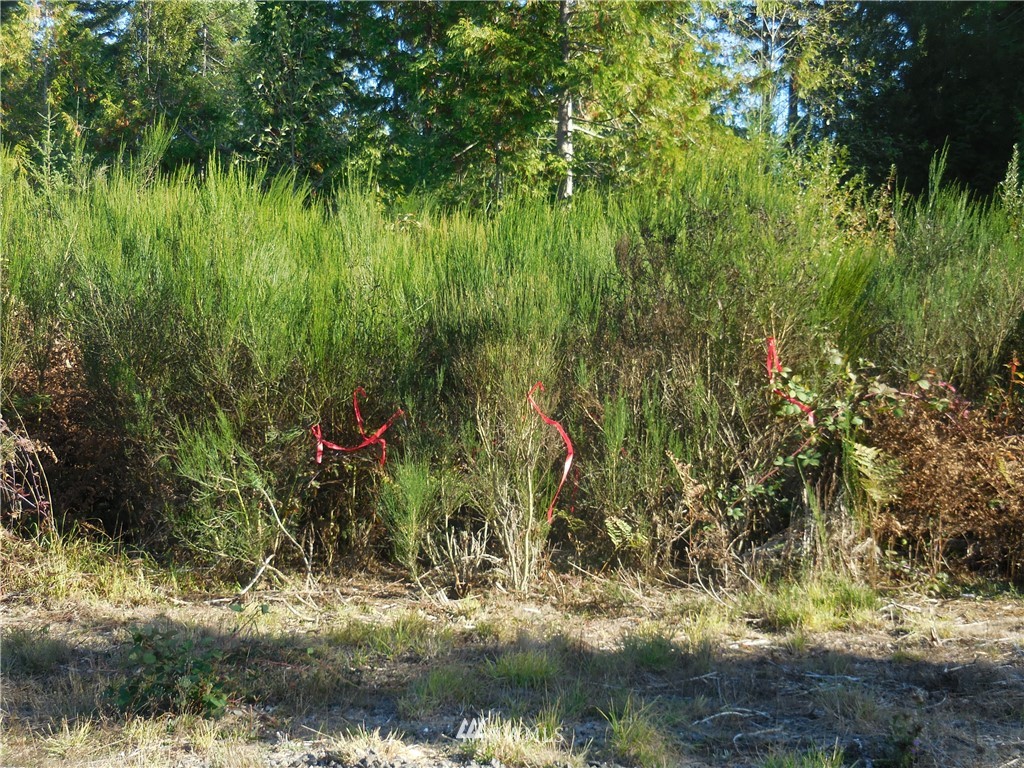 4 Northeast Raspberry Ridge Lane Poulsbo, WA 98370 - Photo 7 of 22 Gallery Image 7