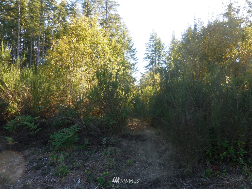 4 Northeast Raspberry Ridge Lane Poulsbo, WA 98370 - Photo 10 of 22 Gallery Image 10