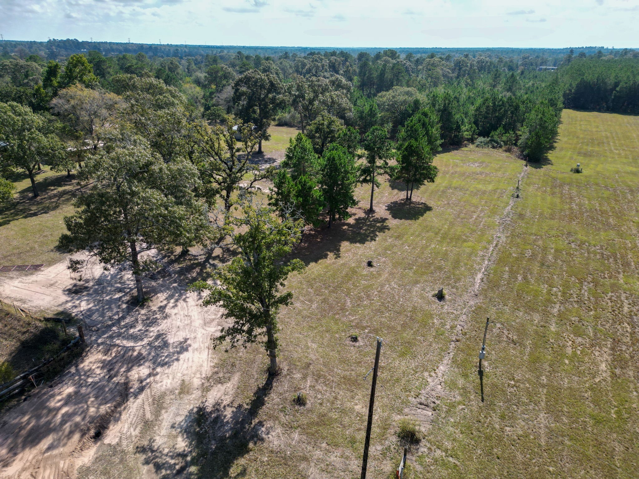 Tbd Slot Road Navasota, TX 77868 - Photo 8 of 12 a view of a bunch of trees and bushes