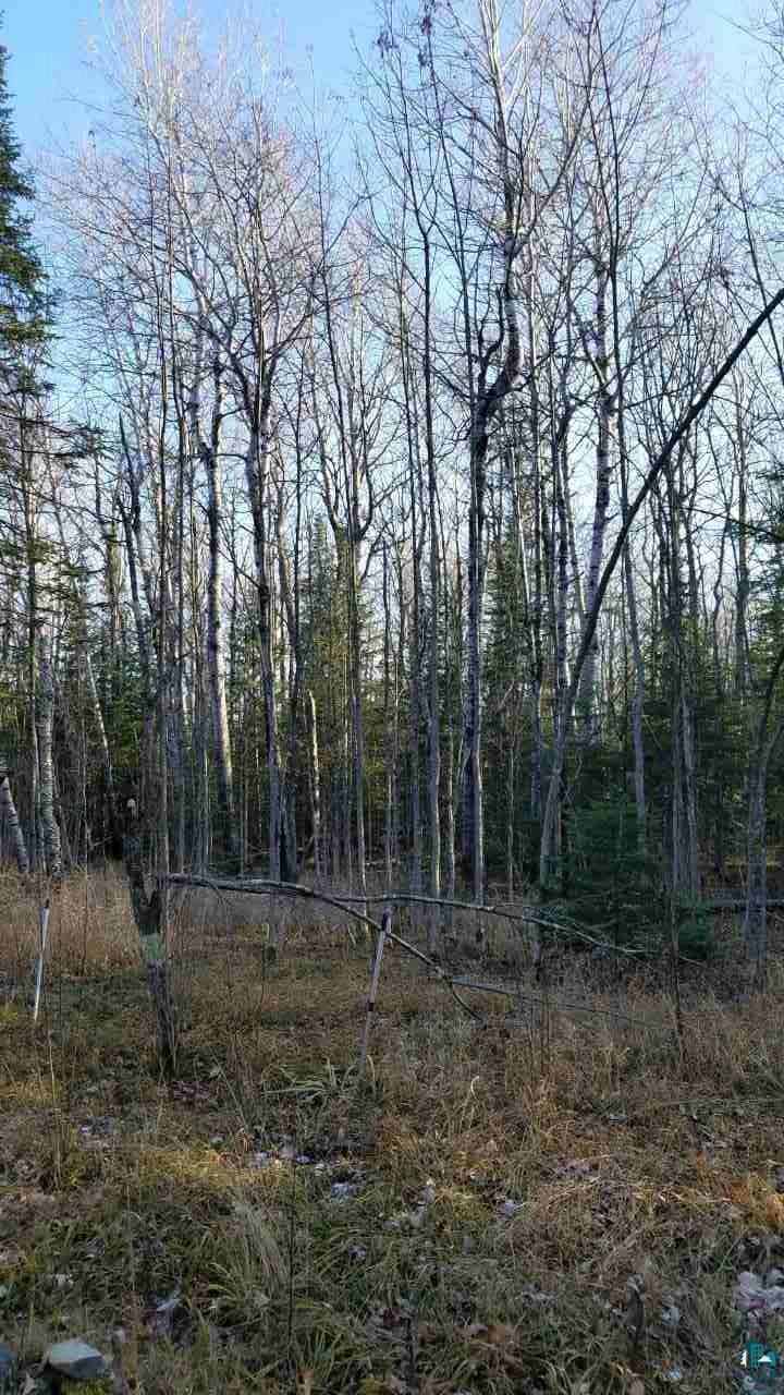 Xxxx East Neuman Road Superior, WI 54880 - Photo 1 of 12 Gallery Image 1