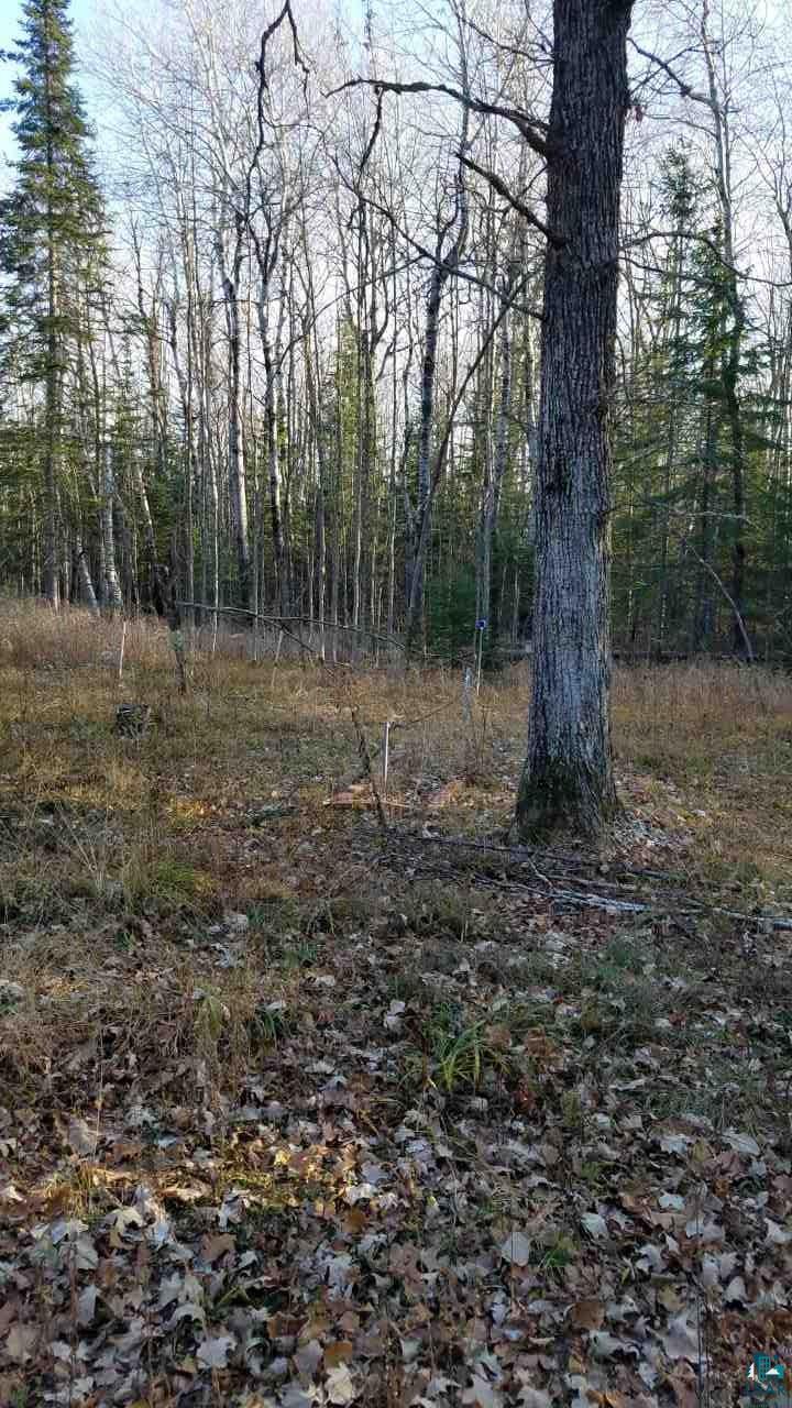 Xxxx East Neuman Road Superior, WI 54880 - Photo 4 of 12 Gallery Image 4