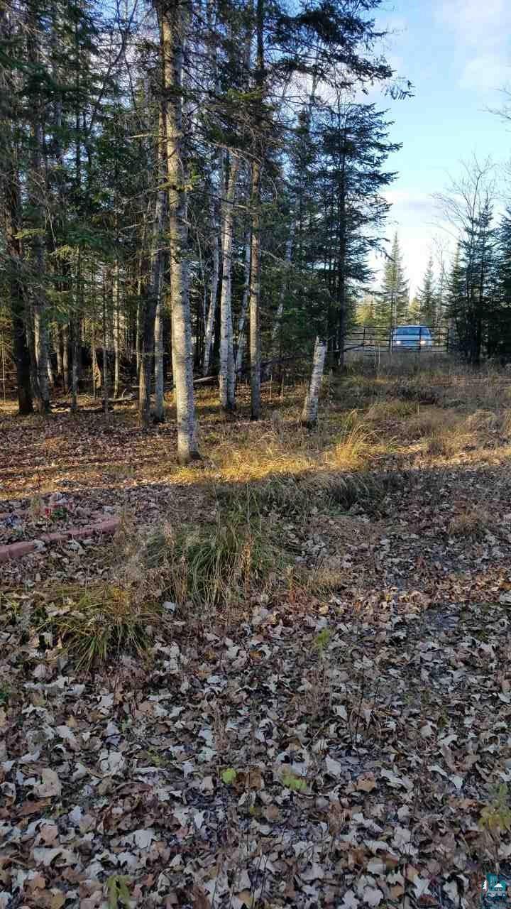 Xxxx East Neuman Road Superior, WI 54880 - Photo 5 of 12 Gallery Image 5