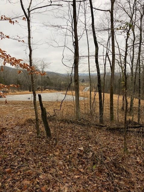 Moffett Road Morning View, KY 41063 - Photo 2 of 22