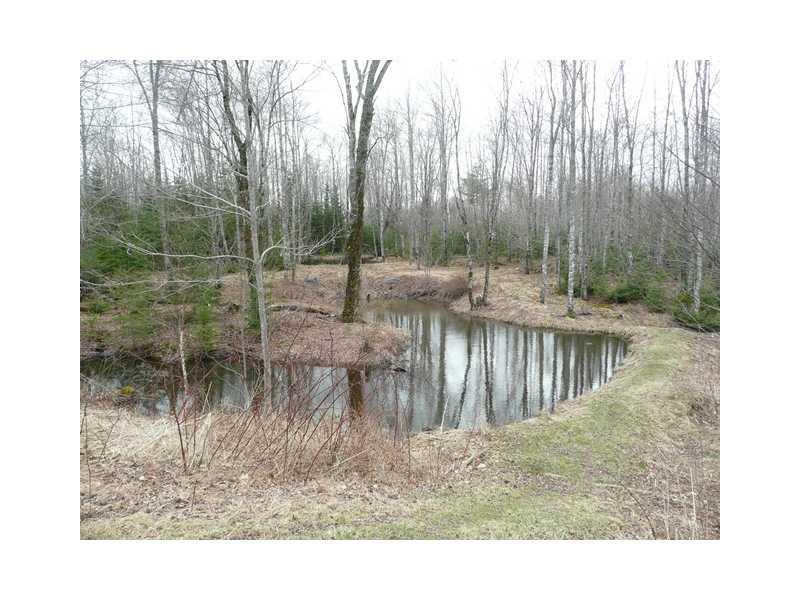 119 Mud Creek Road Hancock, ME 04640 - Photo 13 of 27 Land.