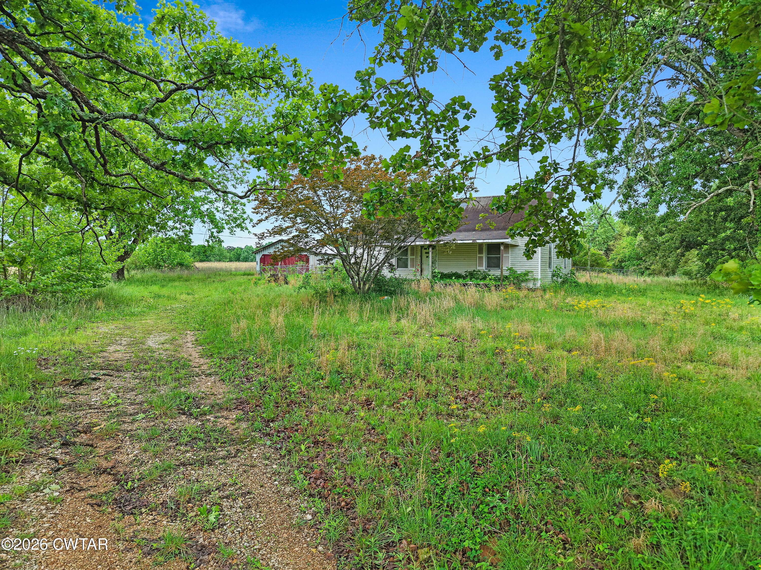 1525 Mill Creek Road Cedar Grove, TN 38321 - Photo 15 of 15 a view of yard with green space