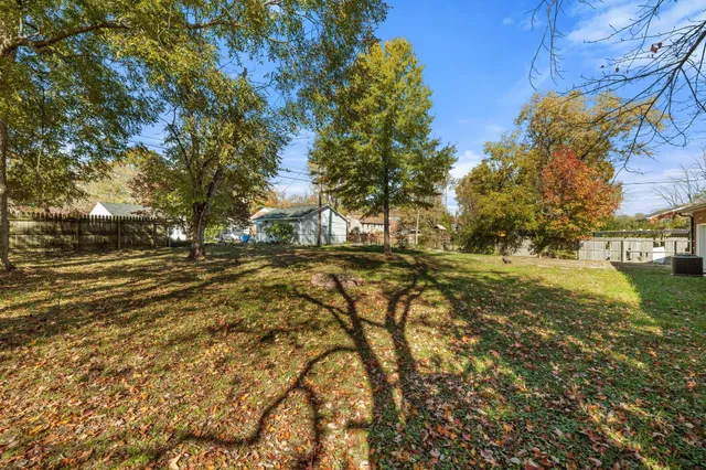 a view of yard with green space