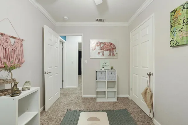 a view of a garden with a slide