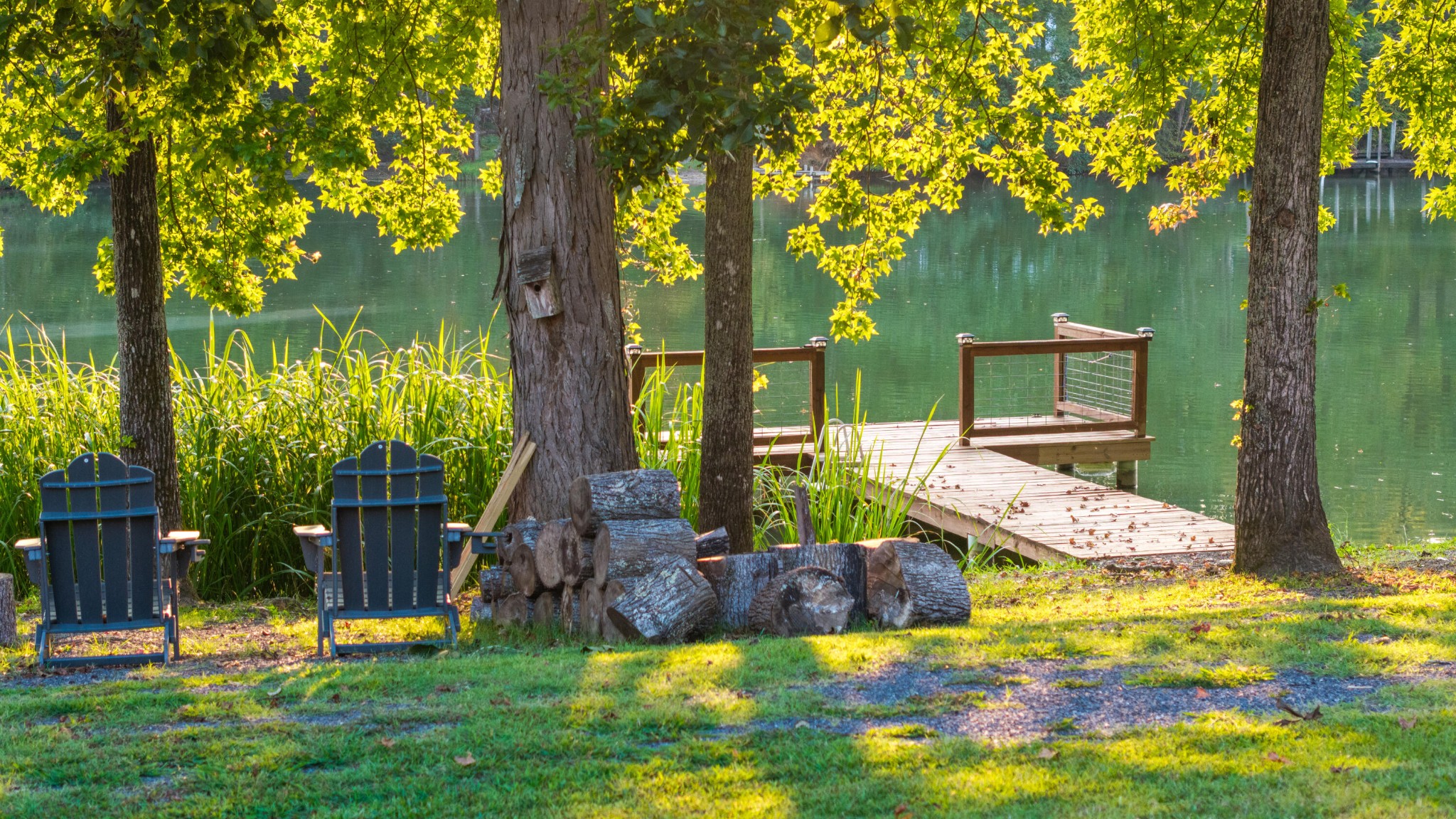 150 Ledford Lane Decatur, TN 37322 - Photo 4 of 61