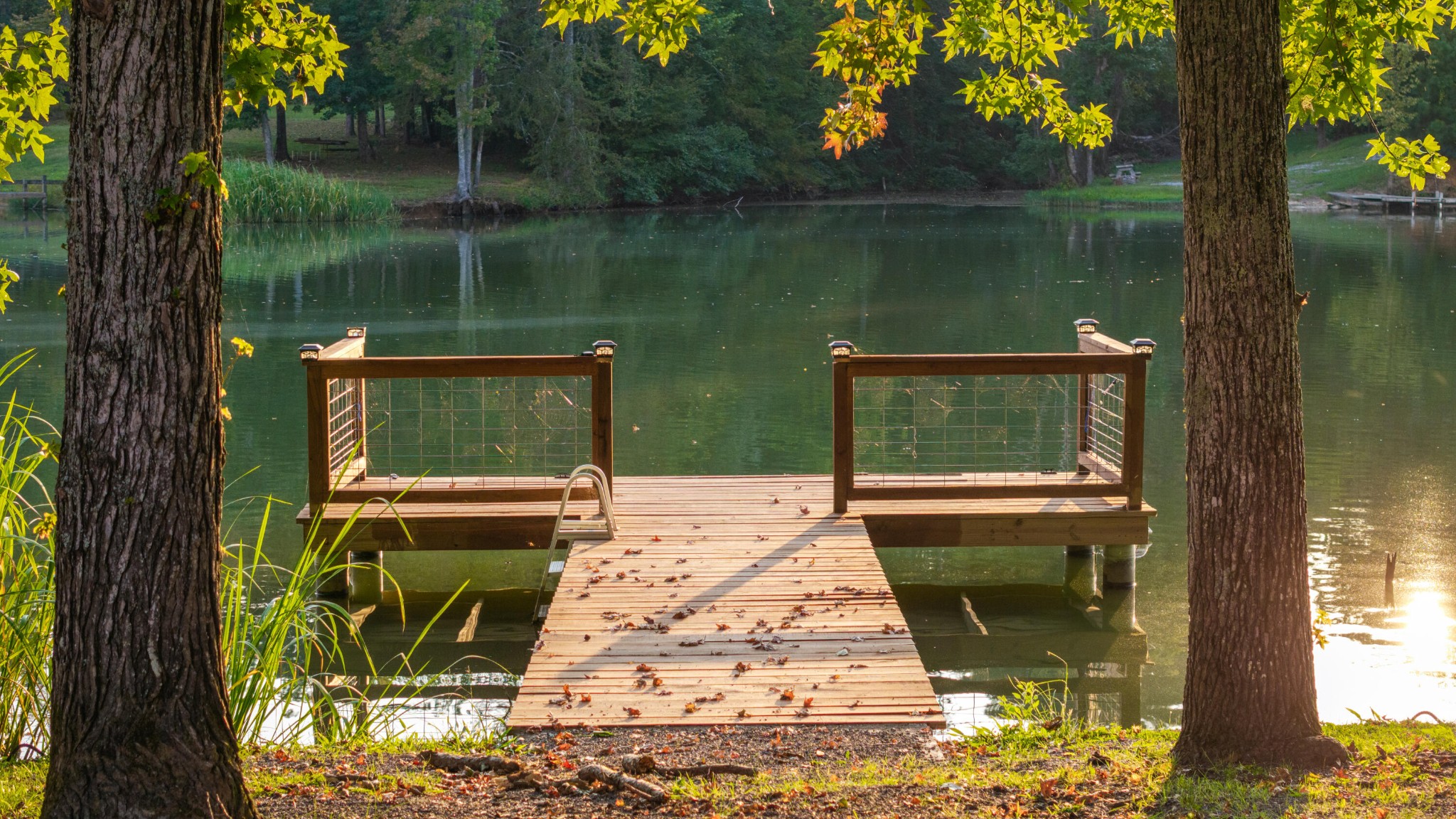 150 Ledford Lane Decatur, TN 37322 - Photo 45 of 61