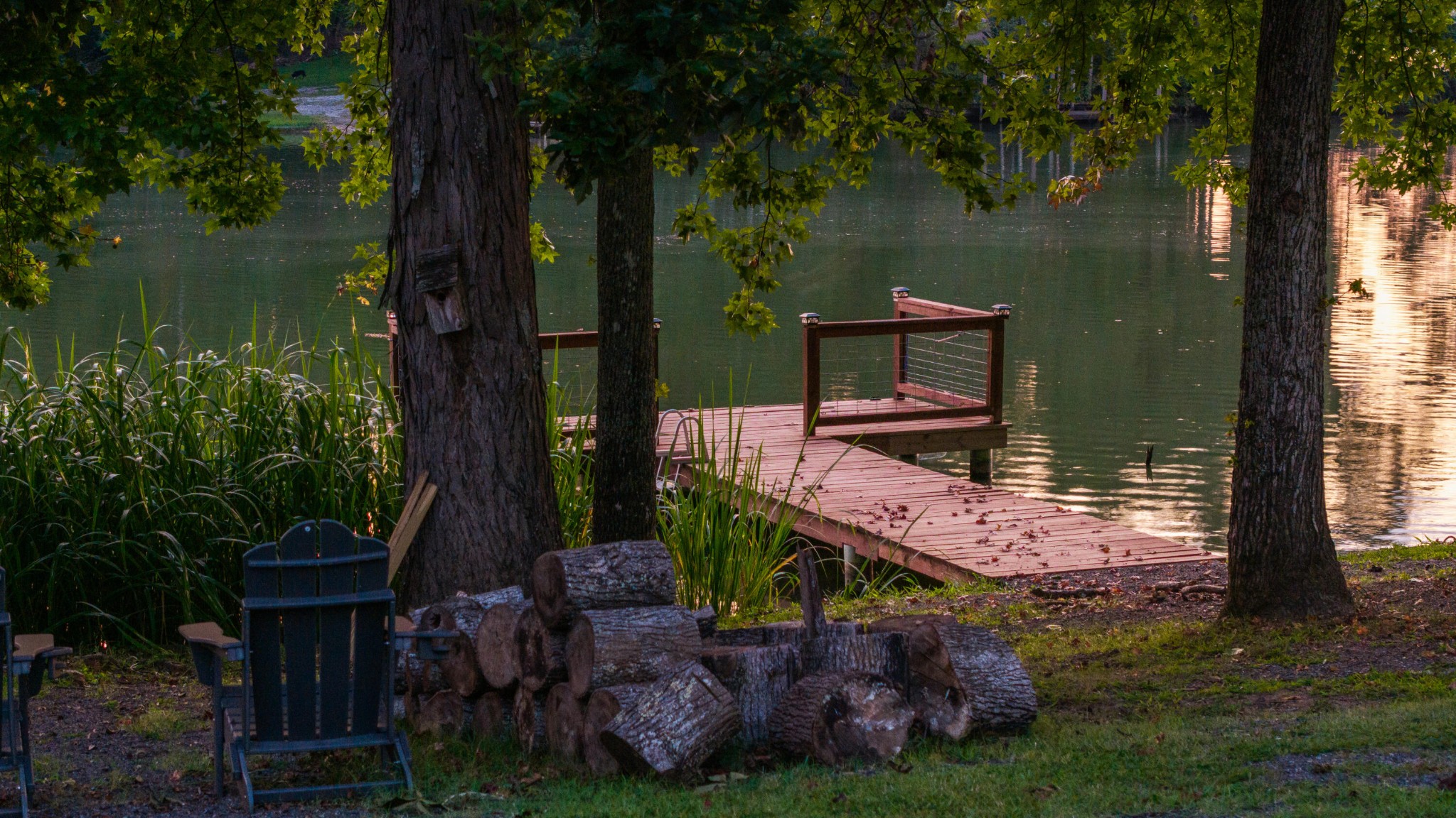 150 Ledford Lane Decatur, TN 37322 - Photo 46 of 61