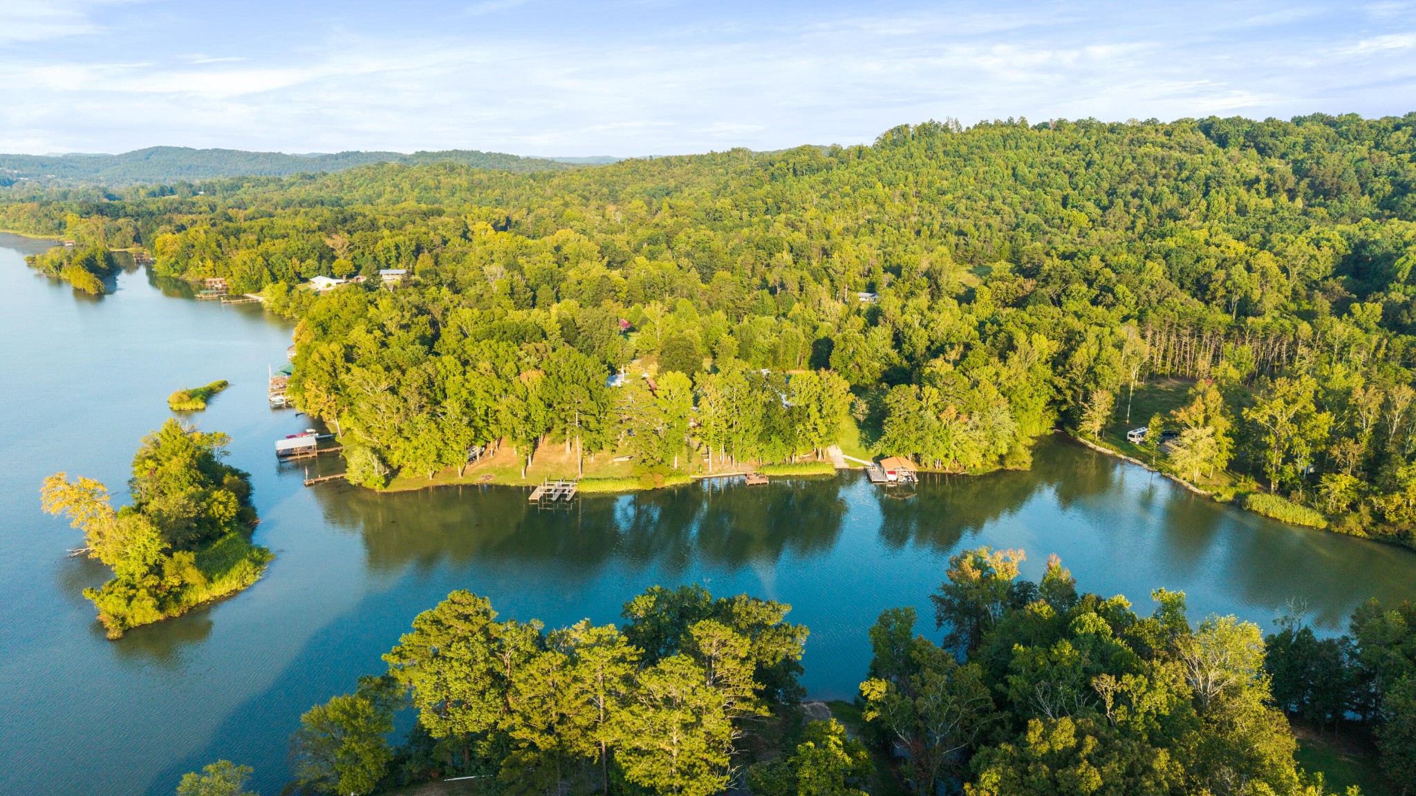 150 Ledford Lane Decatur, TN 37322 - Photo 49 of 61