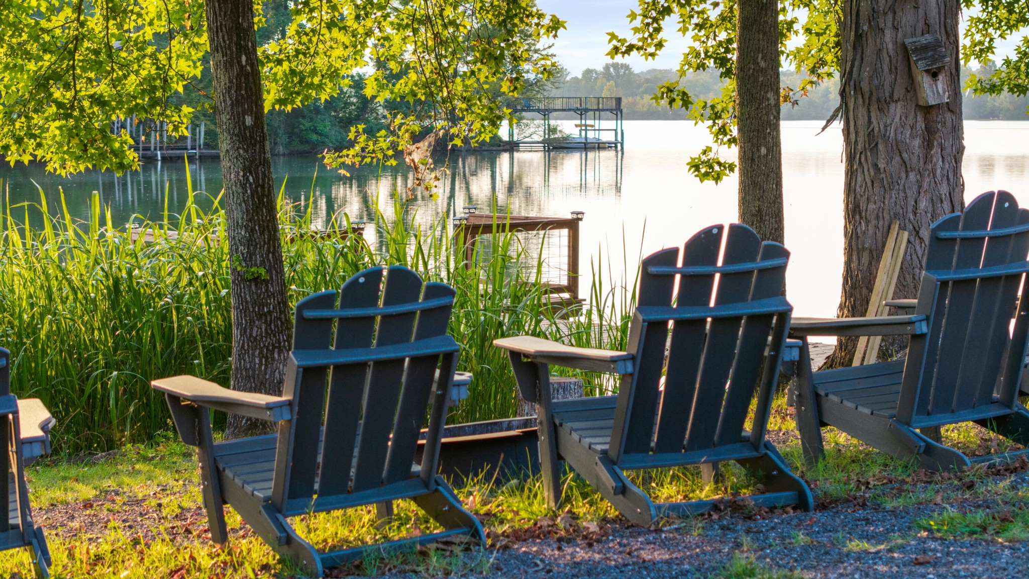 150 Ledford Lane Decatur, TN 37322 - Photo 6 of 61