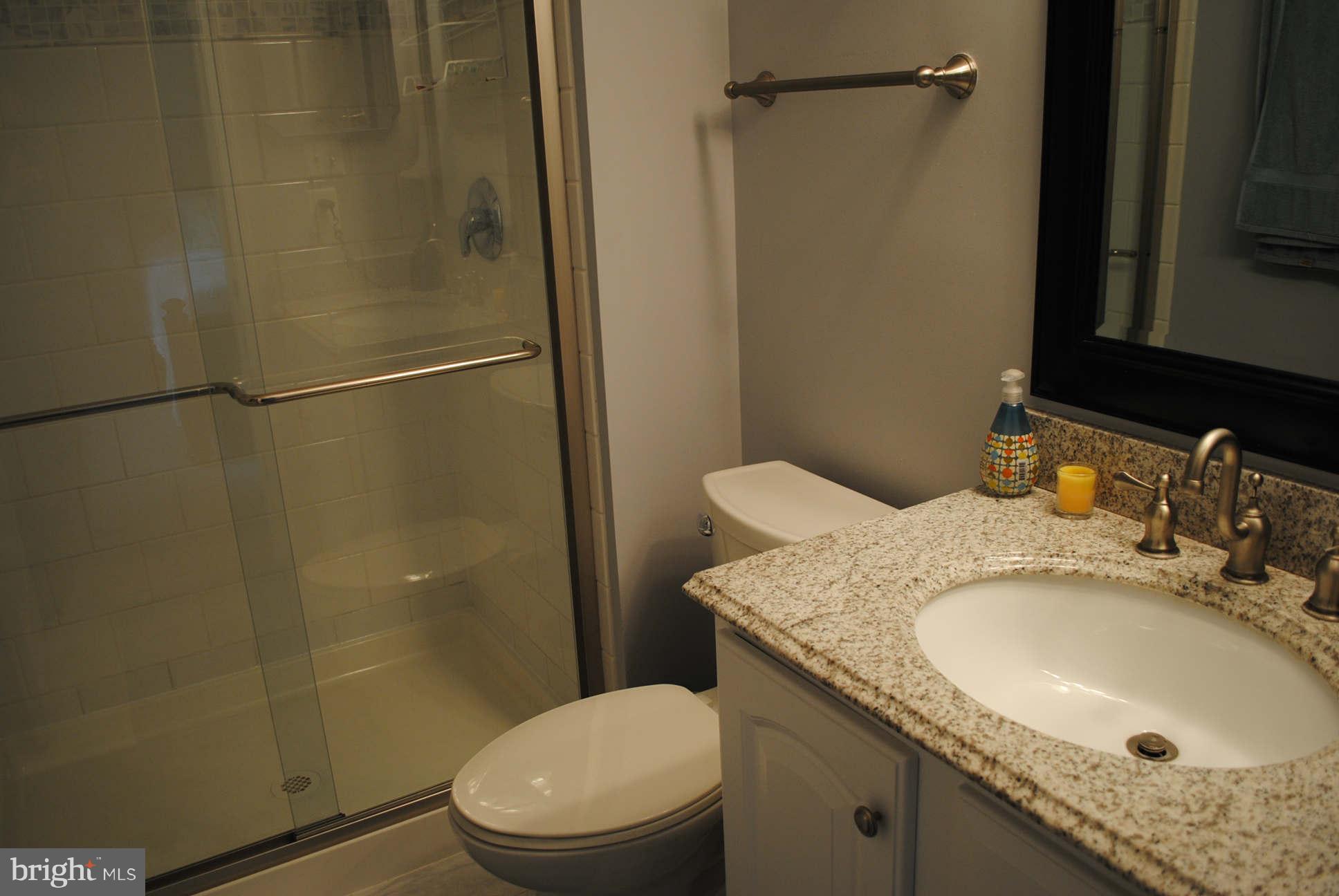 11940 Appling Valley Road Fairfax, VA 22030 - Photo 13 of 30 Bath (Master)