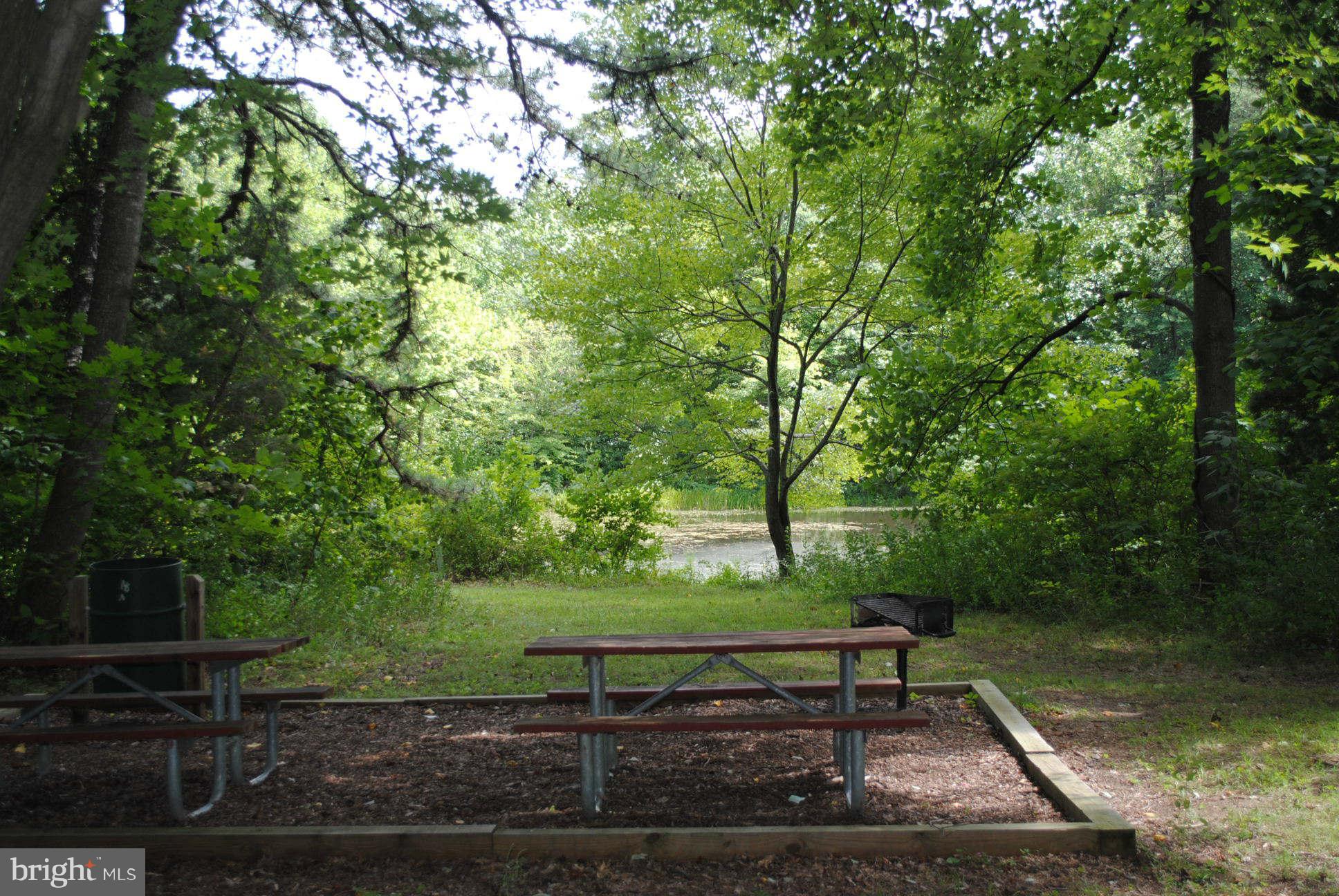 11940 Appling Valley Road Fairfax, VA 22030 - Photo 30 of 30 Community Park and Pond