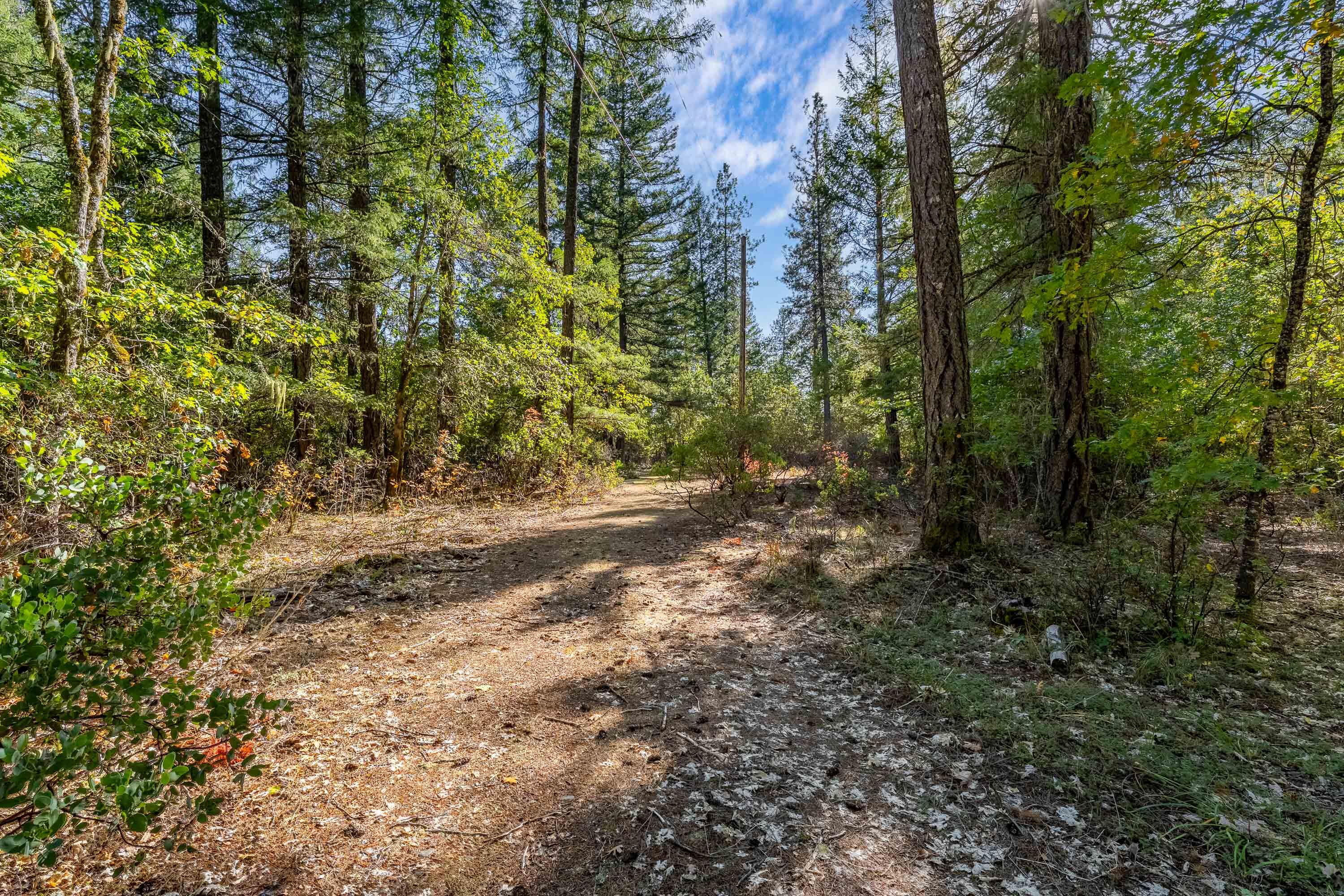 305 Floyd Lane Cave Junction, OR 97523 - Photo 4 of 10 EXT (1 of 6)