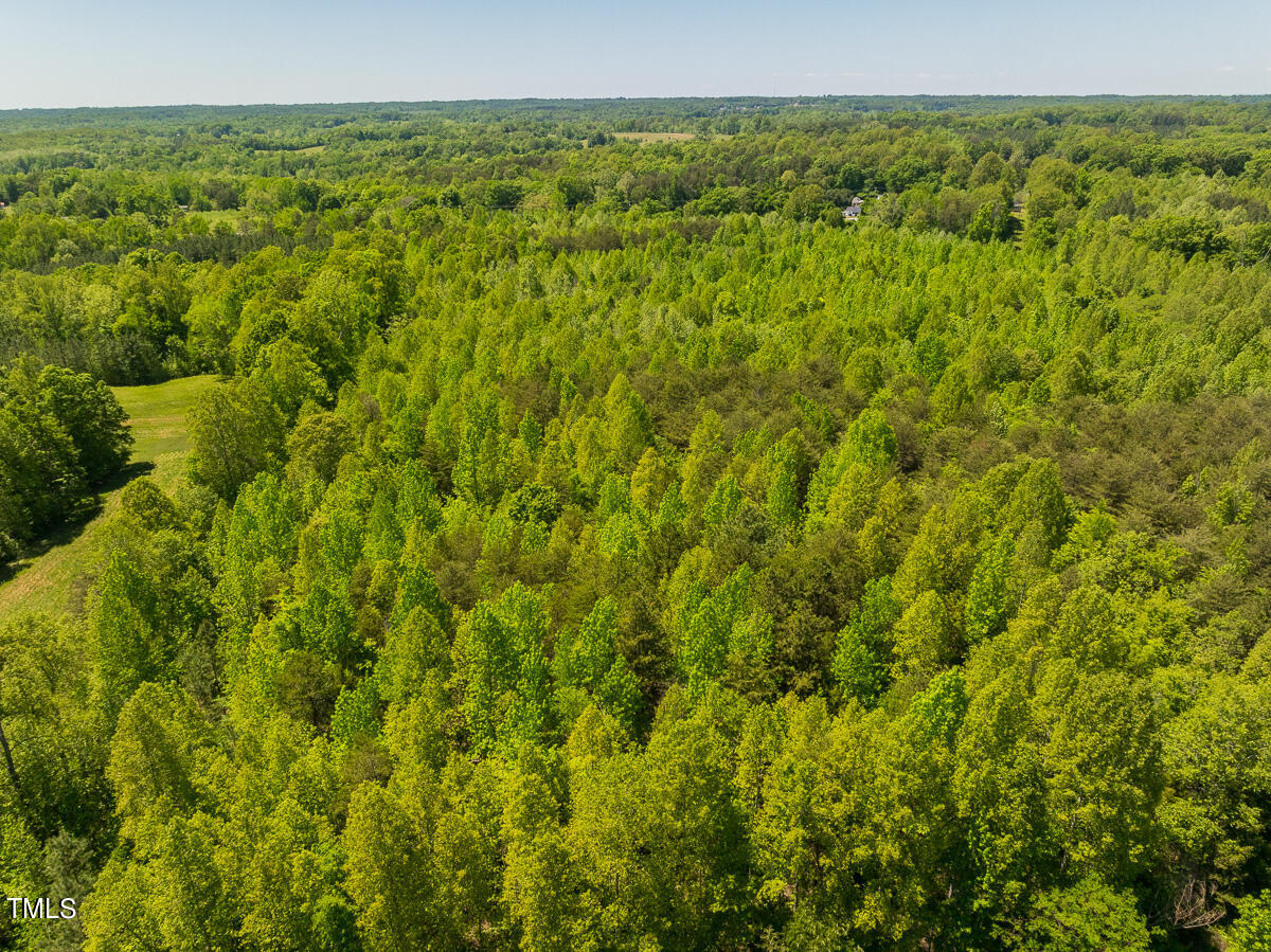Lot-4-00 Wilson Road Providence, NC 27315 - Photo 19 of 38 Caswell Co. NC -Wilsons Ridge-Lot 4-19