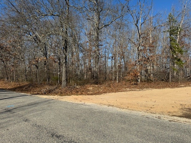 0 Reed Road Summertown, TN 38483 - Photo 11 of 11