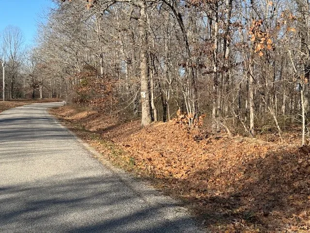 a view of a yard with large trees