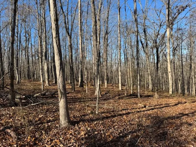 a backyard of a house with lawn chairs