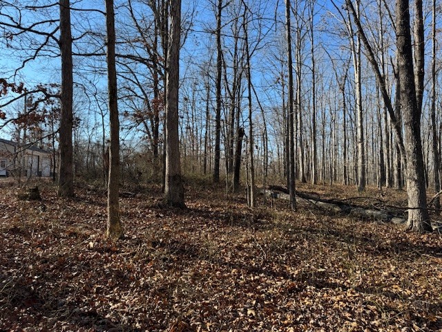0 Reed Road Summertown, TN 38483 - Photo 6 of 11 a view of a backyard