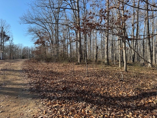 0 Reed Road Summertown, TN 38483 - Photo 7 of 11 a view of backyard with green space