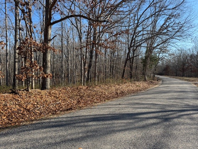 0 Reed Road Summertown, TN 38483 - Photo 9 of 11 a view of a backyard of the house