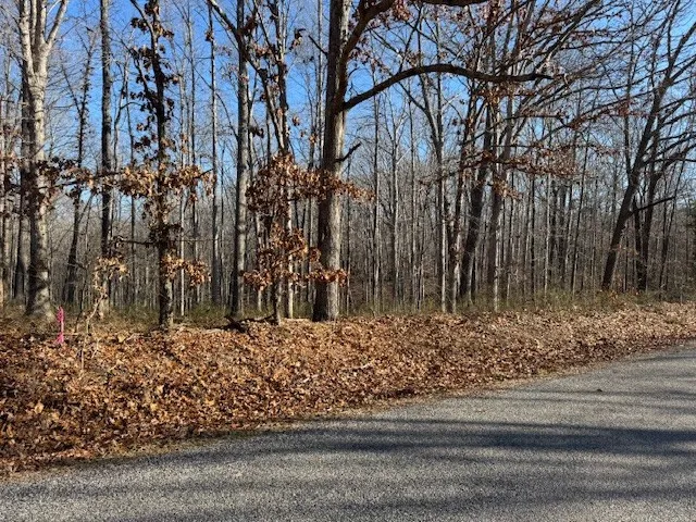 a view of a yard with a of trees