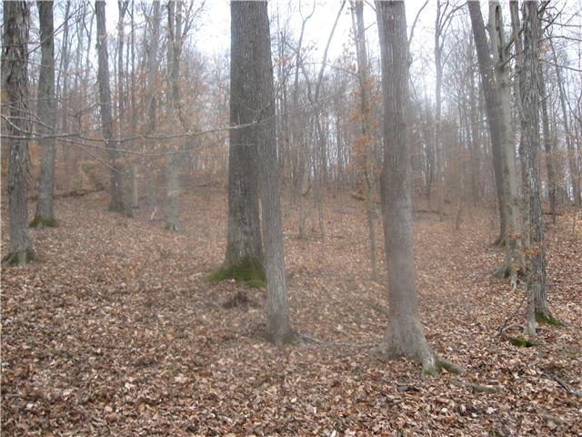 2323 Caney Branch Road Stewart, TN 37175 - Photo 13 of 13