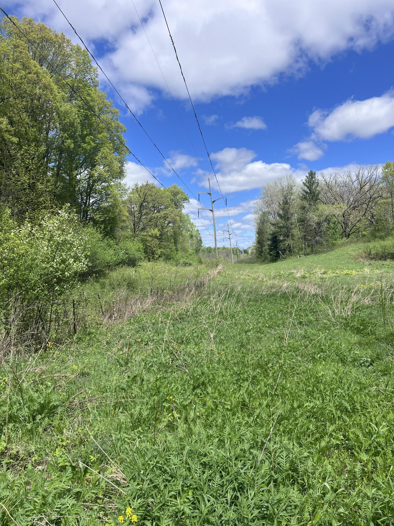 Tbd Tbd County Line Avenue Clear Lake, WI 54005 - Photo 3 of 11