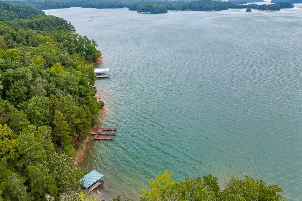 7620 Breeze Bay Road Cumming, GA 30041 - Photo 53 of 53 an aerial view of a house with a yard