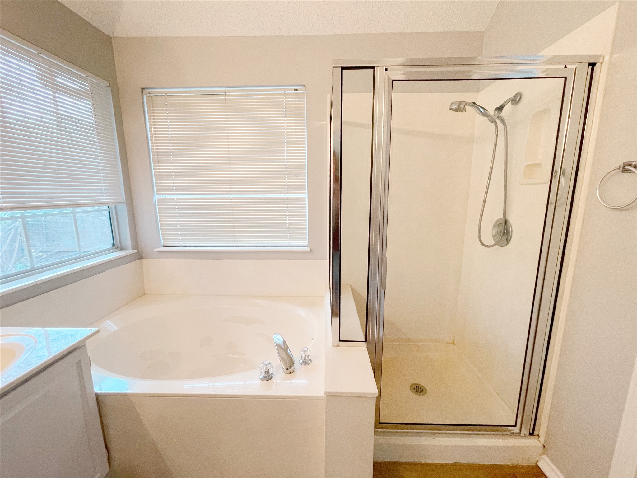 204 Cripple Creek Road Cedar Park, TX 78613 - Photo 21 of 36 With a soaking tub & separate walk-in shower.