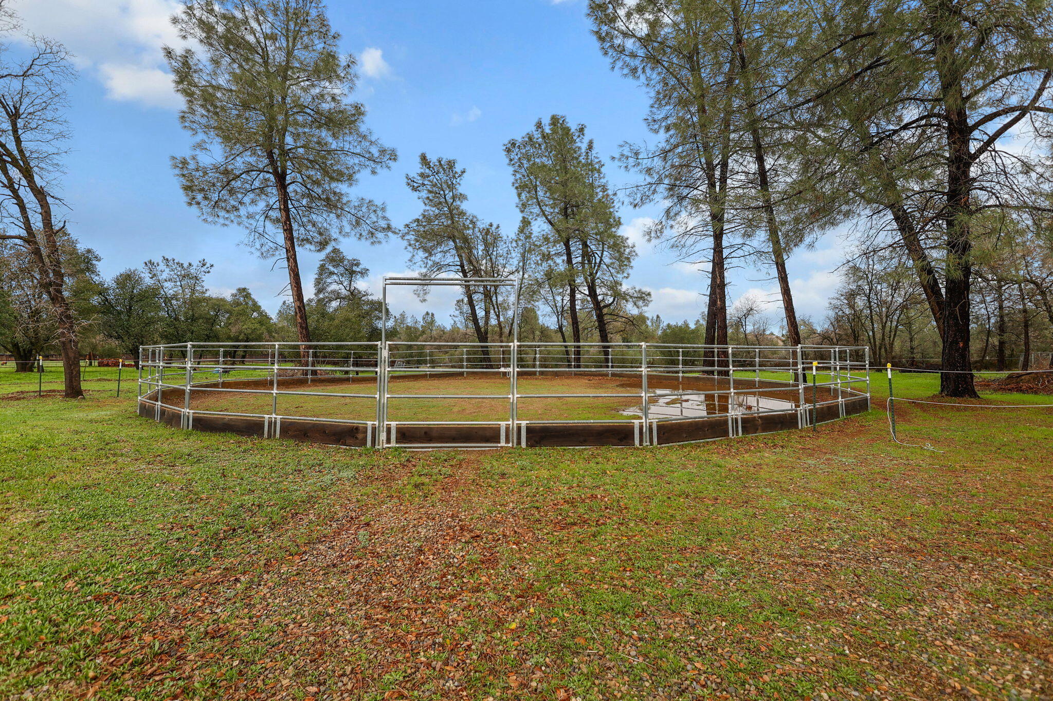 17618 Flowers Lane Anderson, CA 96007 - Photo 30 of 37 a view of park with trees