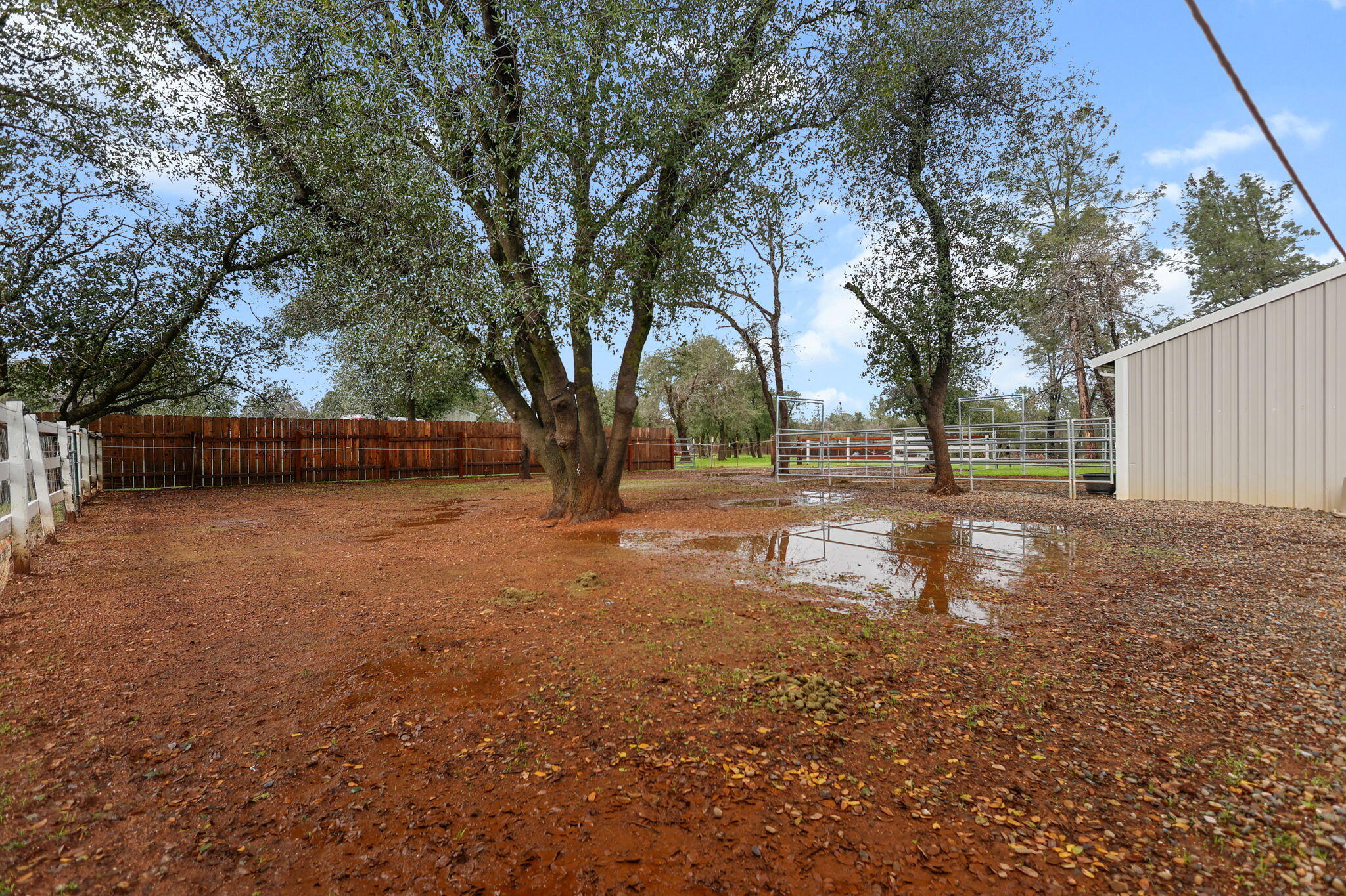 17618 Flowers Lane Anderson, CA 96007 - Photo 31 of 37 a view of yard with tree