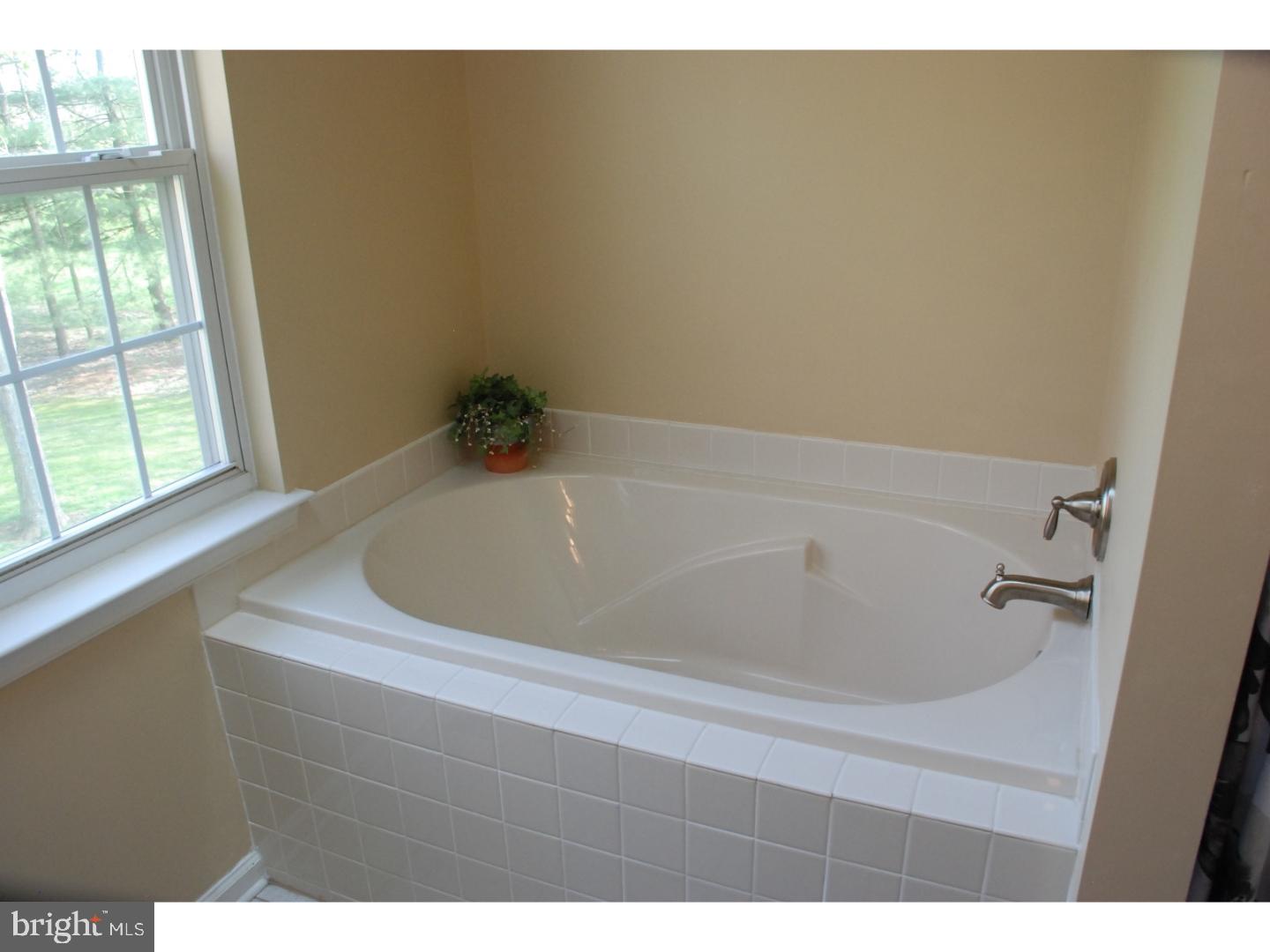 535 Blue School Road Perkasie, PA 18944 - Photo 17 of 24 Master Bathroom