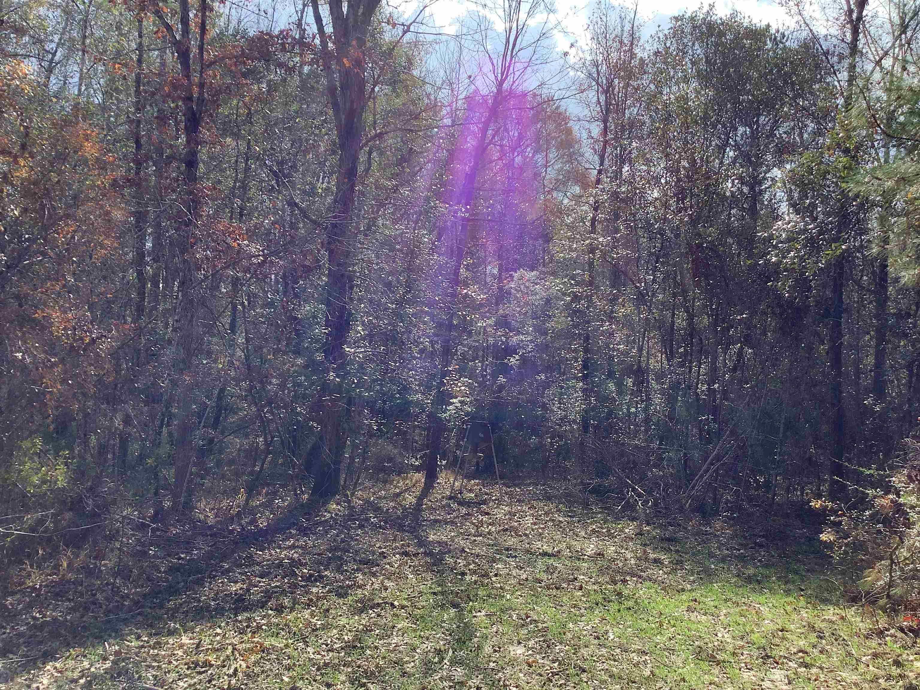 2264 Mulberry Road Brantley, AL 36009 - Photo 23 of 30 Gallery Image 23