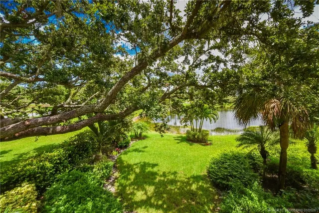 a living room with furniture a fireplace and a potted plant