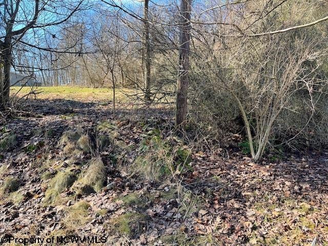 Tbd Herring Road Kingwood, WV 26537 - Photo 3 of 9 Gallery Image 3