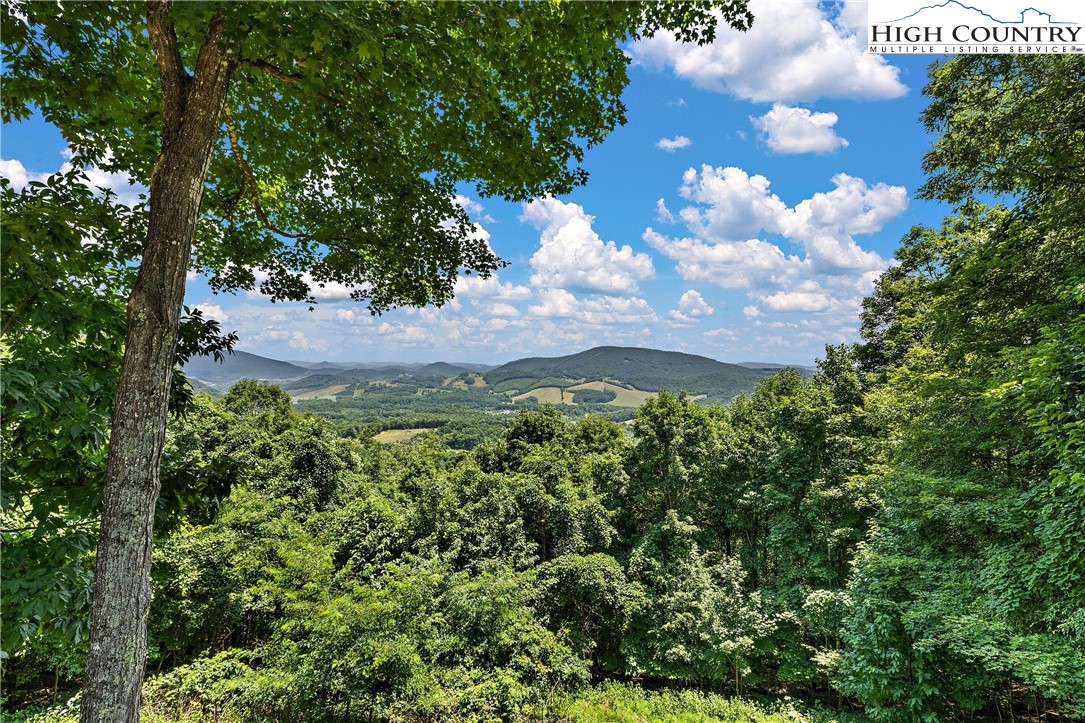 968 Homestead Road Todd, NC 28684 - Photo 4 of 43 Gallery Image 4
