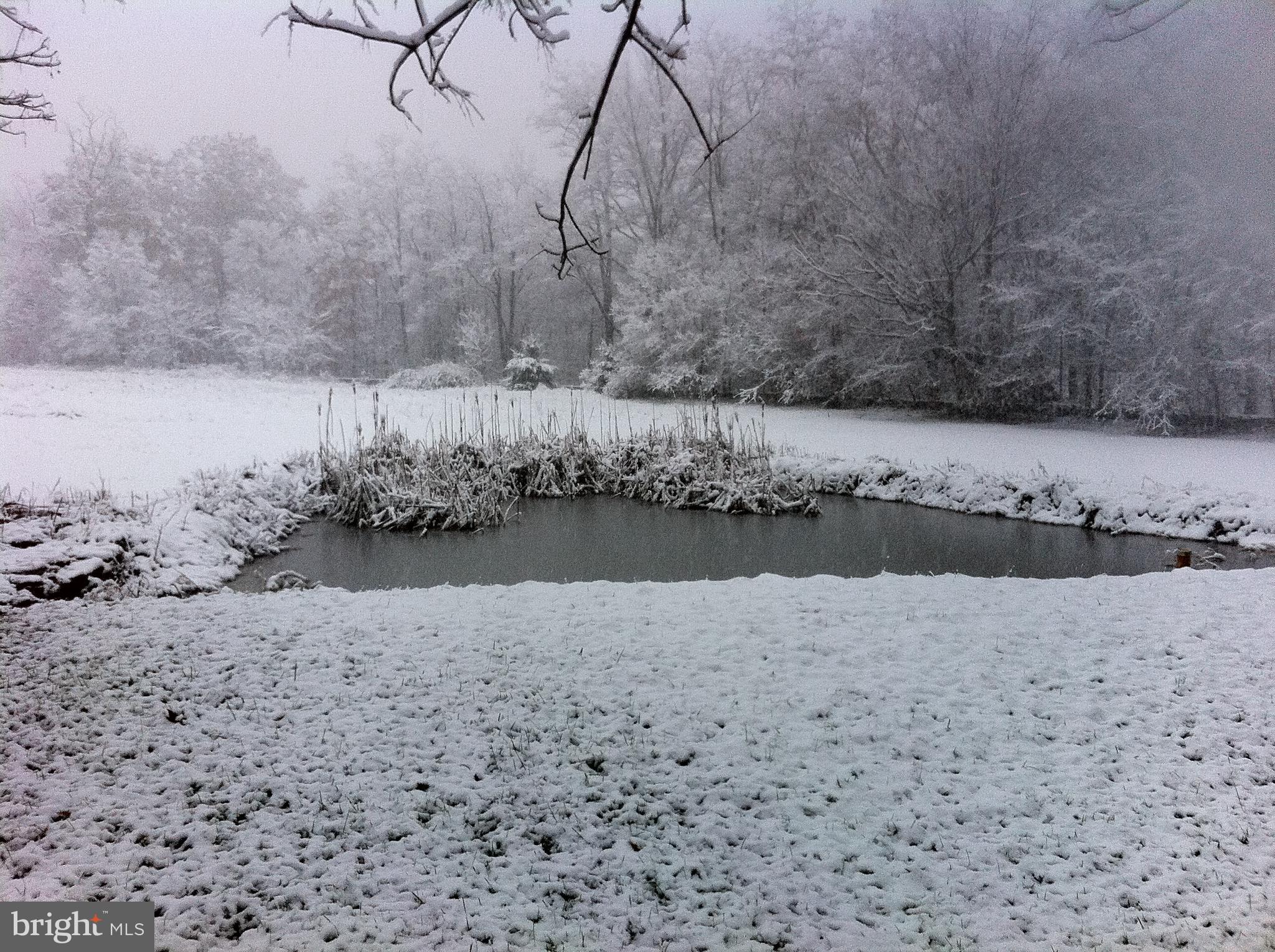 18311 Laurel Run Road Southwest Barton, MD 21521 - Photo 16 of 20 Peaceful pond