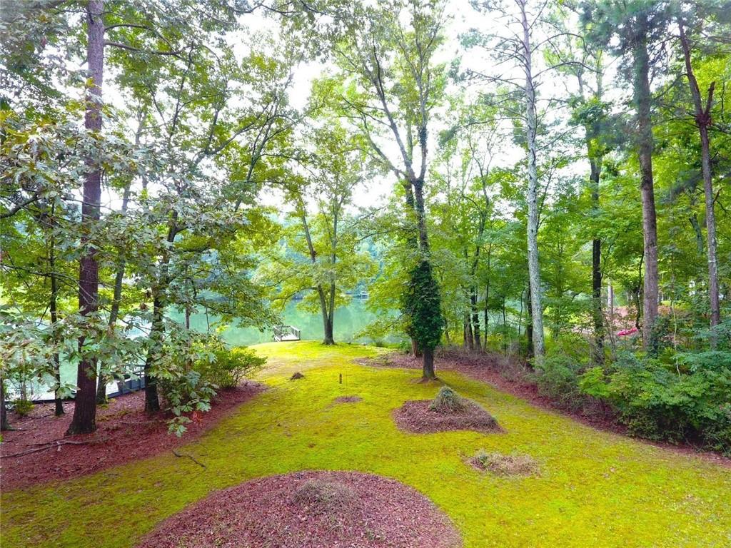7156 Tara Drive Villa Rica, GA 30180 - Photo 73 of 89