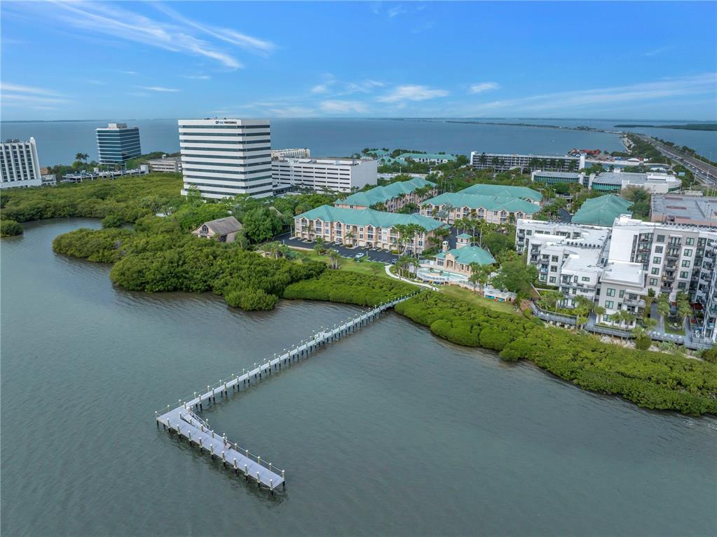 4206 Bay Club Circle, Unit 4206 Tampa, FL 33607 - Photo 2 of 60