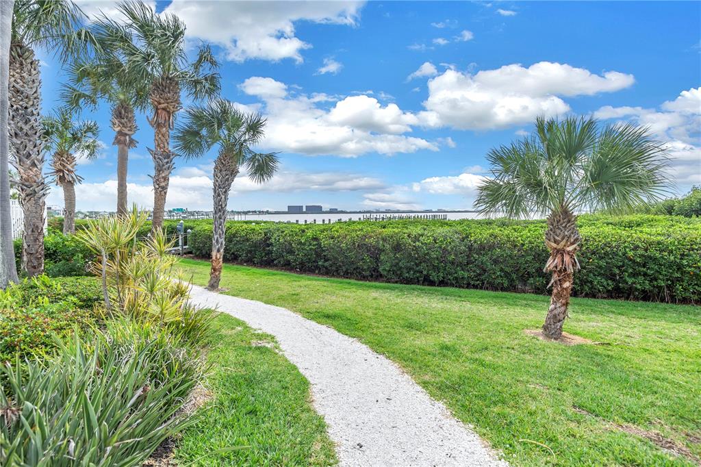 4206 Bay Club Circle, Unit 4206 Tampa, FL 33607 - Photo 40 of 60 a view of a park with a tree