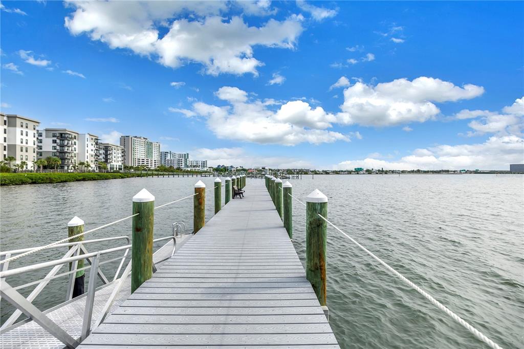 4206 Bay Club Circle, Unit 4206 Tampa, FL 33607 - Photo 43 of 60