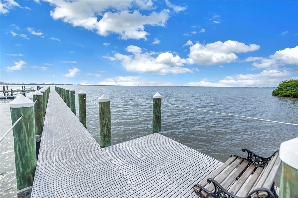 4206 Bay Club Circle, Unit 4206 Tampa, FL 33607 - Photo 44 of 60