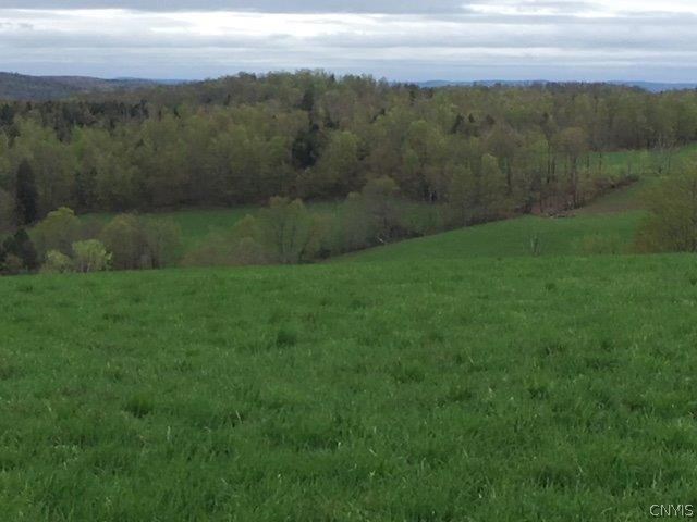 0 Larkin Road Hubbardsville, NY 13355 - Photo 30 of 35